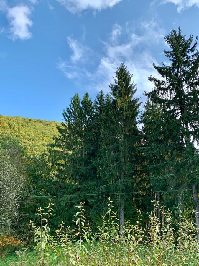 Grand Spa Holiday Home II Sklené Teplice Dış mekan fotoğraf